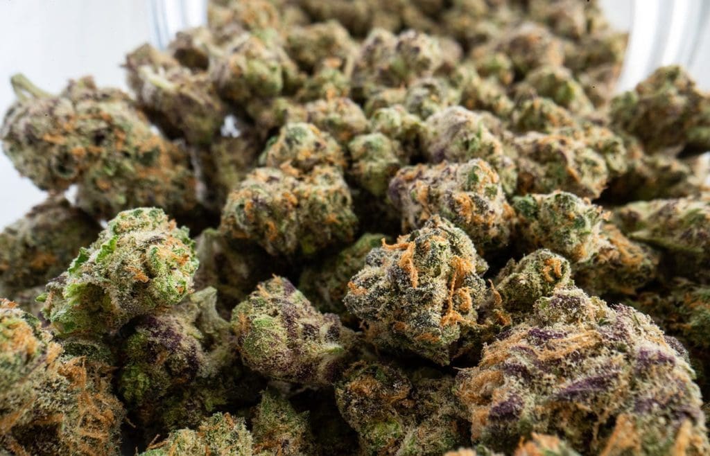 Cannabis flower closeup picture monster cookies strain. Oasis Superstore