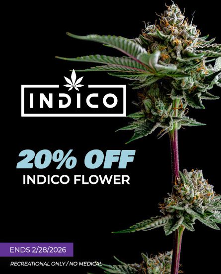 Indico Flower. 20% off. Sale ends 2-28-26