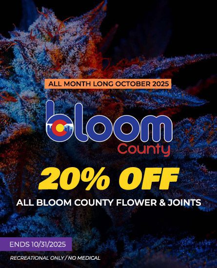 Bloom Flower deal October 2025