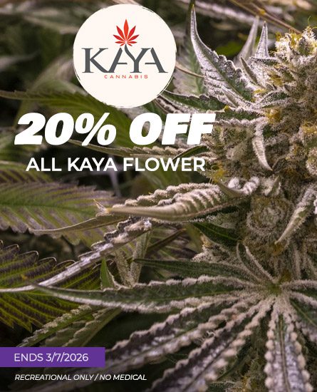 Kaya Flower Sale ends 3/7/2026