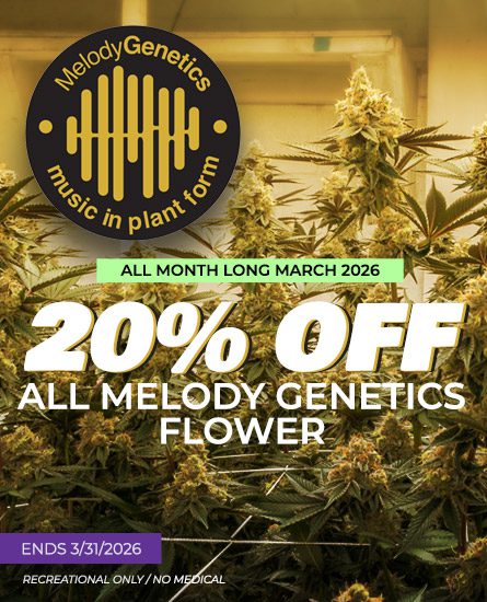 Melody Genetics Flower Sale March 2026